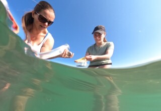 DCIM100GOPROGOPR0139.JPG