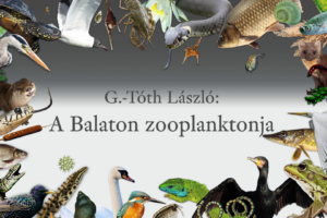 A Balaton zooplanktonja A Balaton zooplanktonja