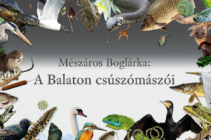 A Balaton csúszómászói A Balaton csúszómászói